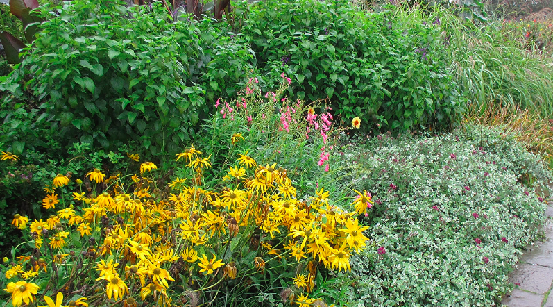 Designing with Plant Layers (Live Online)