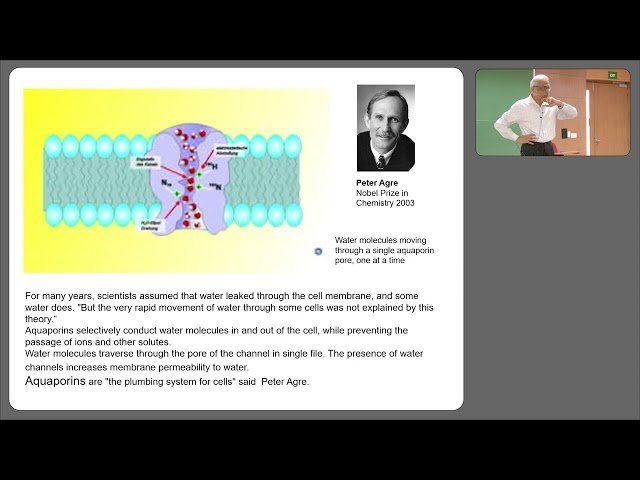 Excretory System: Nephron - Part 2.1 - Renal Physiology and Processing of Urine