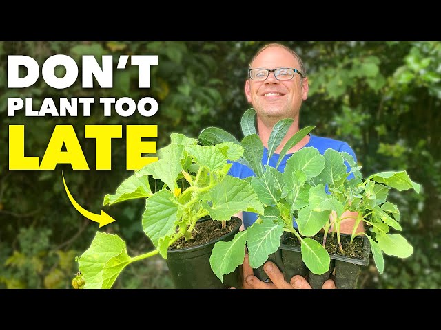 5 Crops You Can Still Plant Even in July