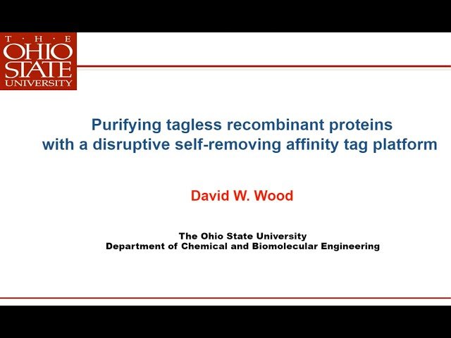 Purifying Tagless Recombinant Proteins with a Disruptive Self-Removing Affinity Tag Platform