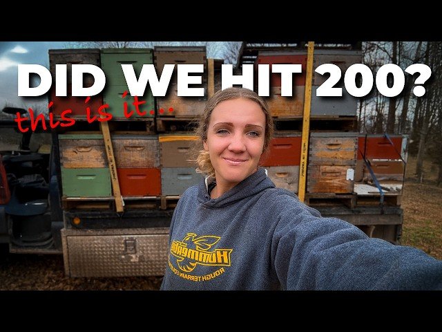 Preparing 200 Hives for California Almond Pollination - Our Biggest Goal of the Year