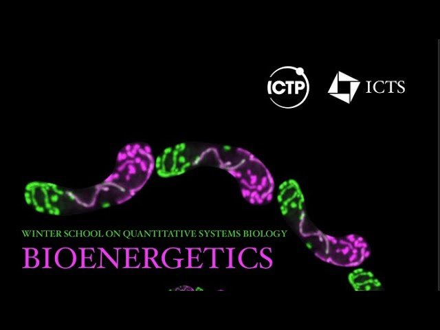 Quantitative Systems Biology - Winter School on Developmental Energetics and Metabolism