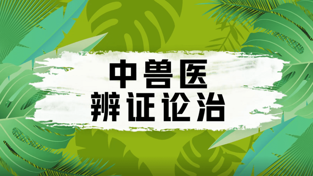 中兽医辨证论治