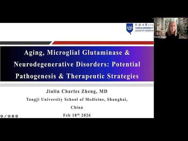 Aging, Microglial Glutaminase, and Neurodegenerative Disorders