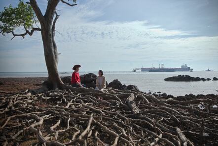 Art and the Environment in Southeast Asia: Making in a Changing World