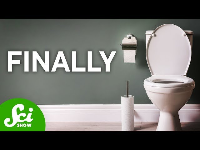 The First Human Bladder Transplant Just Happened