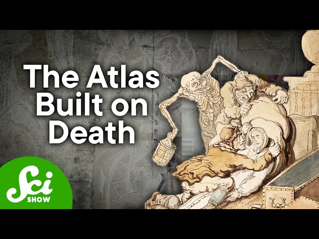 The Pernkopf Atlas - Medicine's Most Controversial Book