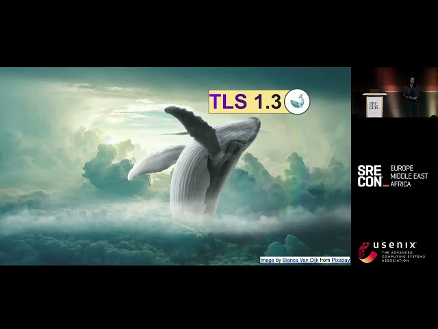 Just the Cryptography You Need to Know for TLS