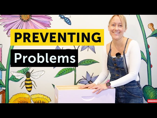 Preventing Problems and Beekeeping Smarter - Essential Tips for Hive Management