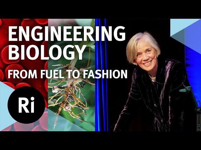 The Future of Engineering Biology