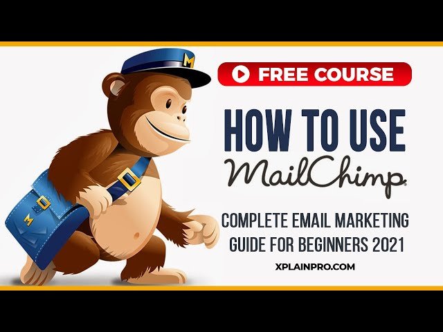 Mailchimp Training Tutorials 2024 - How To Use Mailchimp Beginner's Guide