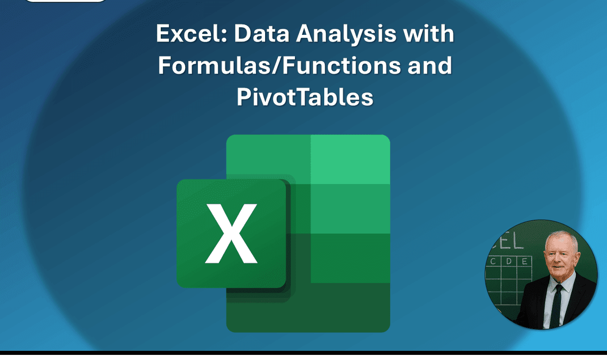 Excel: Data Analysis with Formulas/Functions and PivotTables