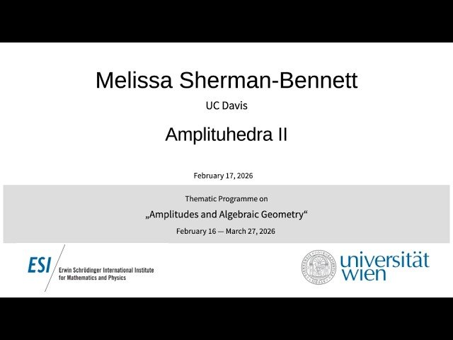 Amplituhedra II - Amplituhedron Basics and Big Questions