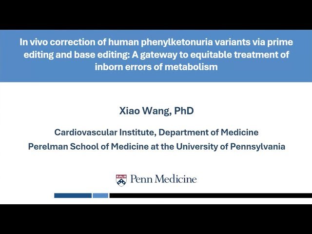 In Vivo Correction of Human Phenylketonuria Variants via Prime Editing and Base Editing: A Gateway to Equitable Treatment of Inborn Errors of Metabolism