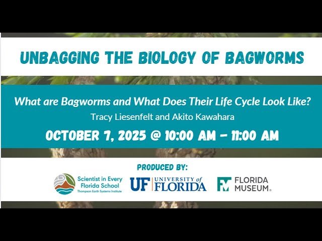 Unbagging the Biology of Bagworms - What are Bagworms and What Does Their Life Cycle Look Like?