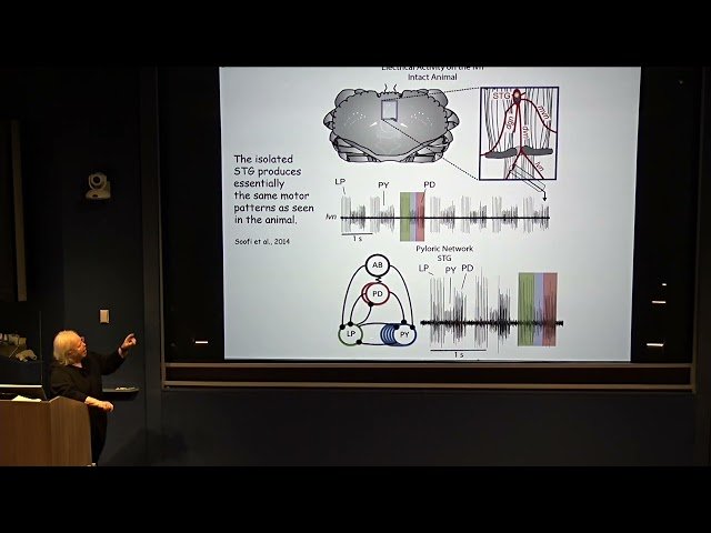 Cryptic Changes to Degenerate Neurons and Circuits Elicited by Temperature: Effects of Climate Change on Neural Dynamics - January 22, 2025