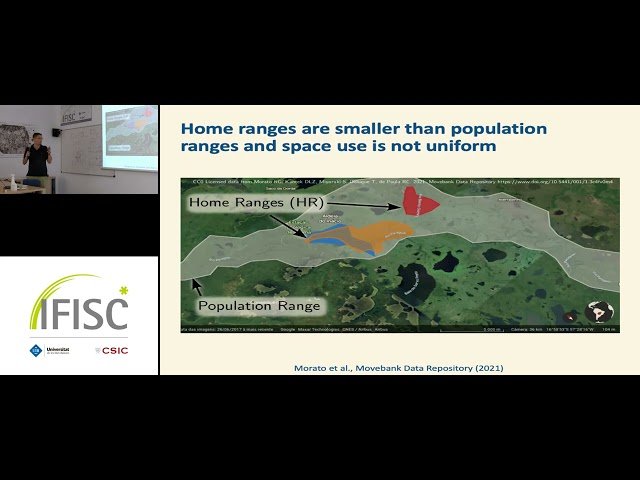 Ecological Systems Are Rarely Well-Mixed - How Movement Behavior Determines Spatial Structure