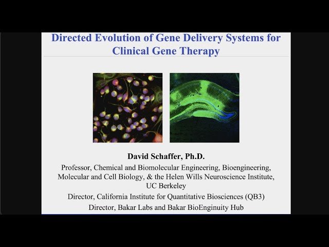 Directed Evolution of Novel AAV Vectors for Clinical Gene Therapy