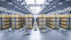 SAP EWM - SAP Extended Warehouse Management