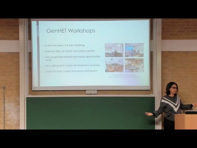 Gender in High Energy Theory