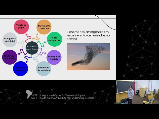 Sobre Pontes, Redes Sociais e Borboletas: A Física de Sistemas Complexos