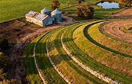 Fodder Production and Conservation for Sustainable Livestock Feeding