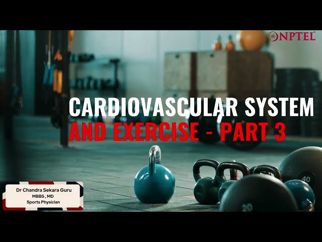 Cardiovascular System and Exercise - Part 3
