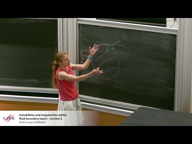 Instabilities and Singularities Within Fluid Boundary Layers - Lecture 2