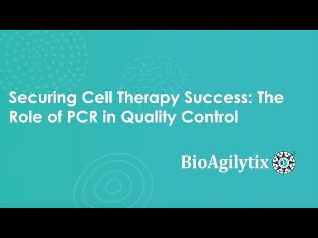 Securing Cell Therapy Success - The Role of PCR in Quality Control
