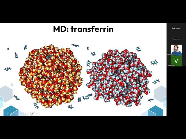From Molecular Simulations to Functional Design - Computational Insights into Theranostic Protein-Based Nanostructures