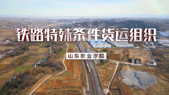 铁路特殊条件货运组织