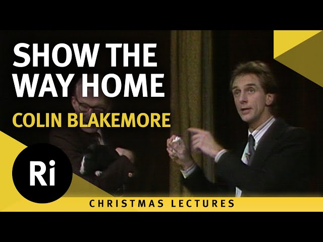 Biological Navigation Systems - Where Am I? - Show Me the Way to Go Home 4/6