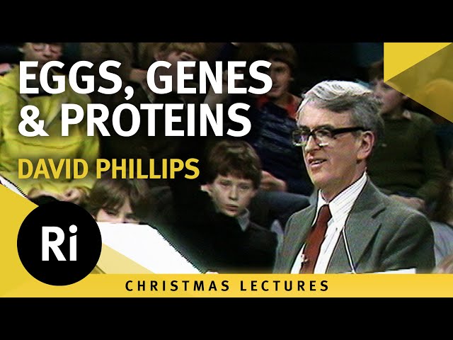 Eggs, Genes and Proteins - Lecture 4