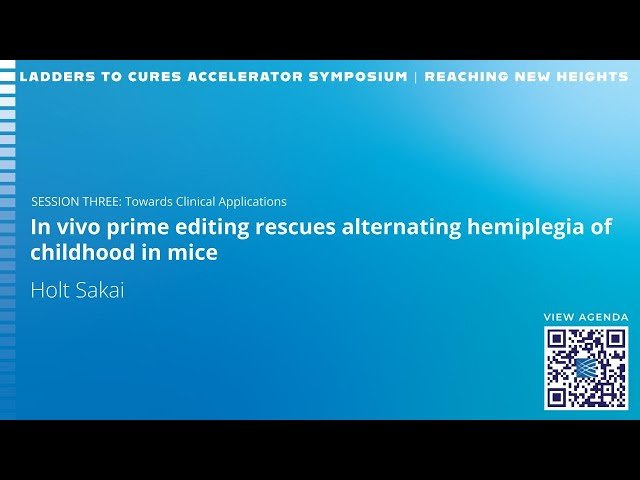 Towards Clinical Applications - Session 3