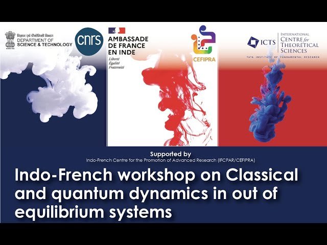 The Anomalous Long-Ranged Influence of an Inclusion in a Momentum-Conserving System