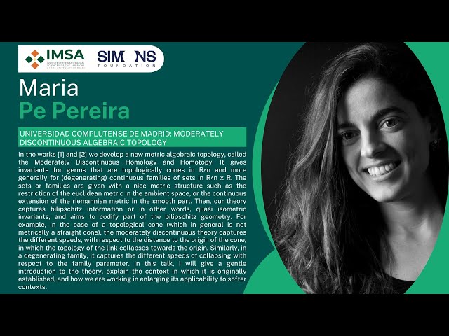 Moderately Discontinuous Algebraic Topology - An Introduction to Metric Invariants