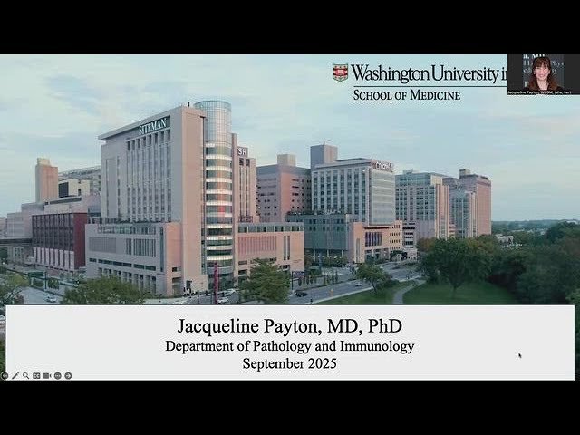 Finding Balance in the Immune System - Mechanisms That Regulate Infection and Cancer