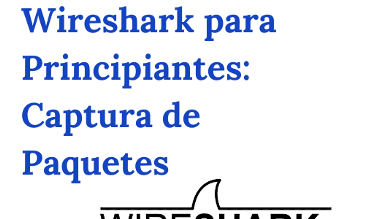 Wireshark para Principiantes: Paquetes de Captura
