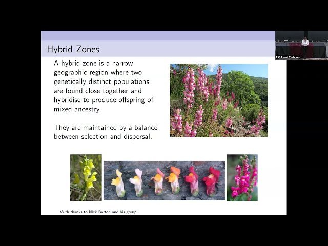 Modelling Hybrid Zones - Mathematical Models in Population Genetics