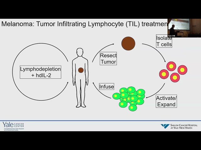 Cellular Therapies - Present Challenges and Future Directions
