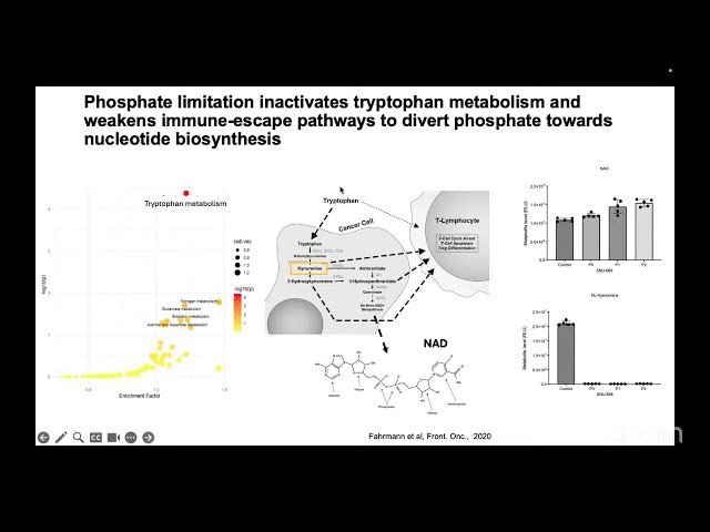 Modeling Karyotype-Driven Adaptations to Predict Therapeutic Response