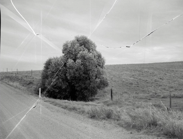 The Work Before the Work: Idea-Building Using Photographs and Words (Live Online)