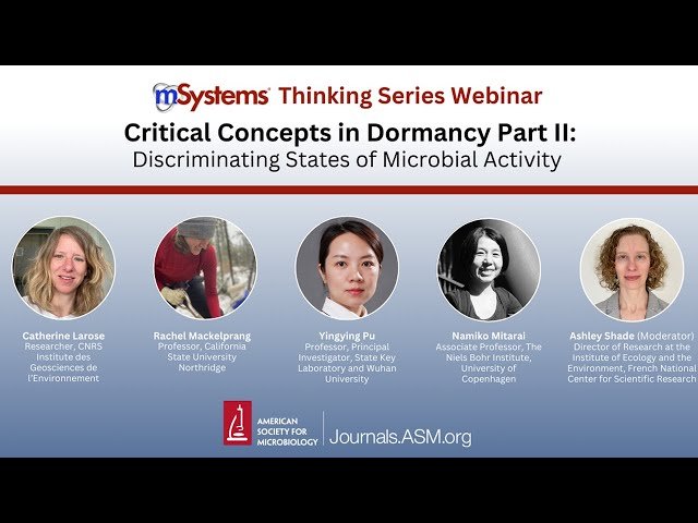 Critical Concepts in Dormancy Part II: Discriminating States of Microbial Activity