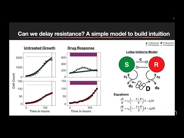 Bridging the Gap - What Pre-Clinical Experiments Can Teach Us About Math Model-Guided Treatment Scheduling
