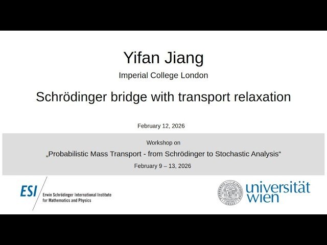 Schrödinger Bridge with Transport Relaxation