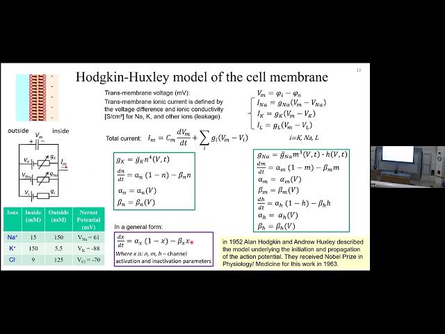 Prosthetic Vision with a Photovoltaic Substitute for the Lost Photoreceptors