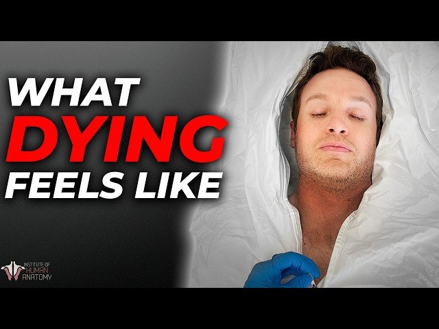 The Anatomy and Physiology of Death - What Happens to Your Body When You Die