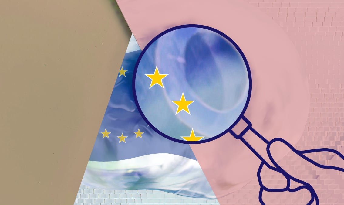 AI Regulation: Navigating the EU AI Act