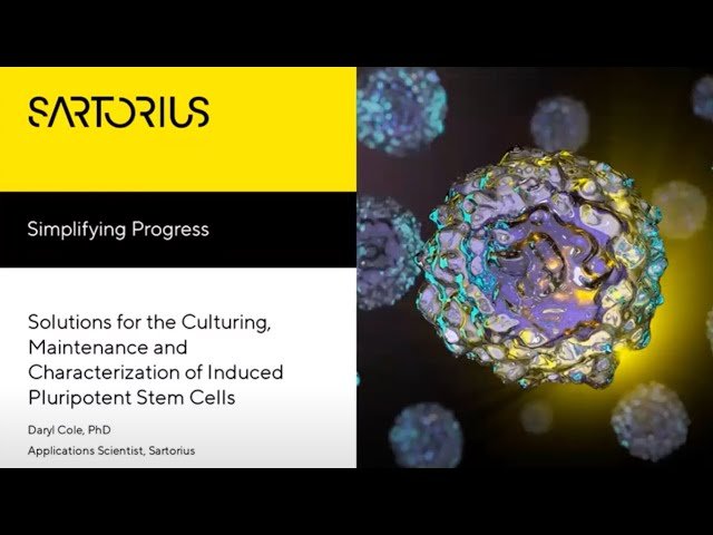 Solutions for the Culturing, Maintenance and Characterization of Induced Pluripotent Stem Cells