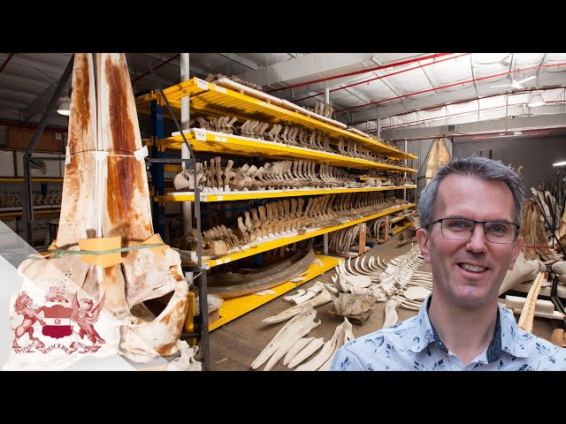 Nature's Memory - Behind the Scenes at the World's Natural History Museums